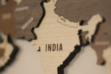 인도, 중앙정부 예산의 기형적 전략