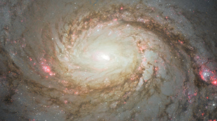 암흑 물질과 반물질은 어떻게 다른가